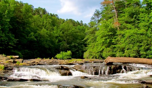 A serene river flows over rocks, surrounded by lush green trees and a bright blue sky.