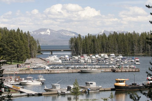 A marina filled with boats, surrounded by trees and mountains under a partly cloudy sky.