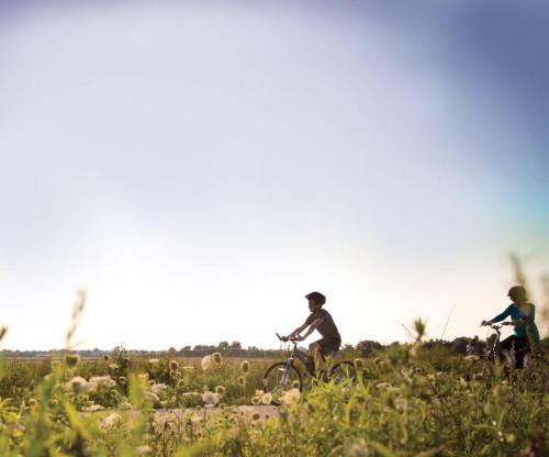 Two cyclists ride along a path surrounded by tall grass and wildflowers under a clear blue sky.