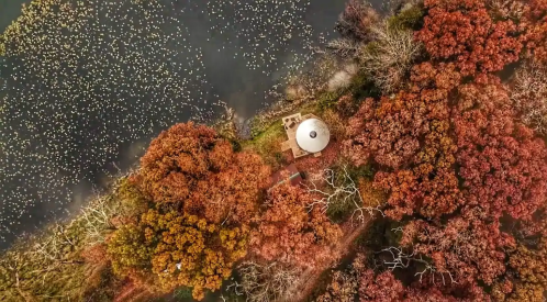 Aerial view of a serene lake surrounded by vibrant autumn foliage and a small circular structure near the water's edge.