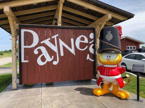 A colorful cartoon character in a soldier's uniform stands beside a large wooden sign that reads "Payne's."