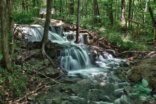 A serene forest scene featuring a cascading waterfall surrounded by lush greenery and trees.