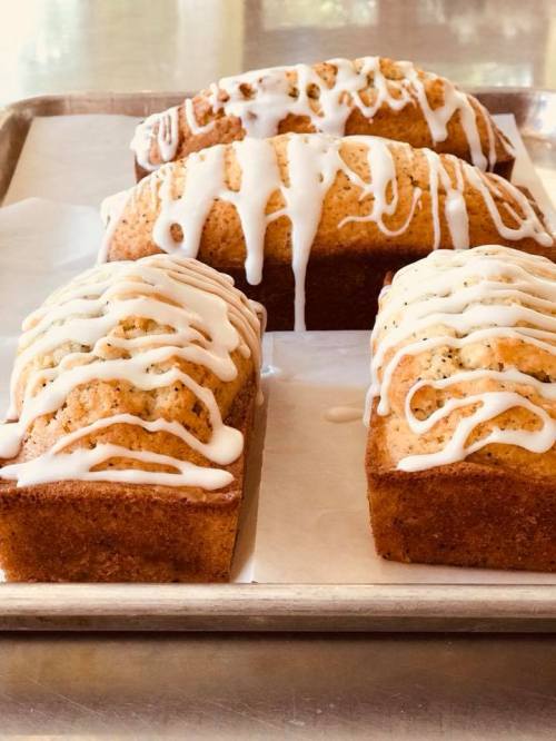 Three loaves of glazed lemon bread on a baking tray, drizzled with white icing.