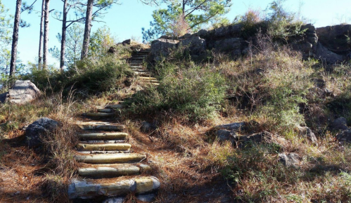 A winding stone staircase leads up a grassy hill surrounded by trees and rocky terrain.