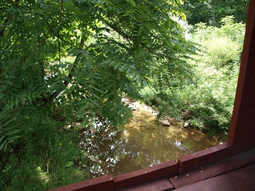 A serene view of a small creek surrounded by lush greenery, seen from a wooden deck.