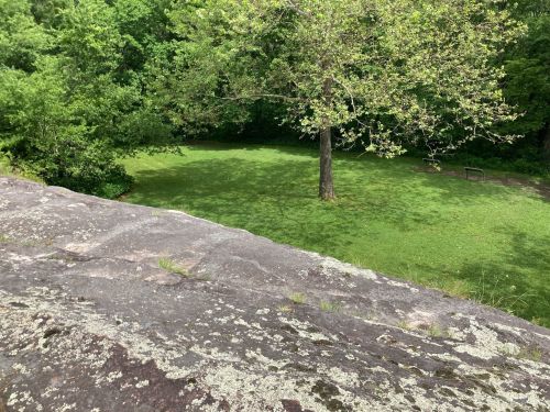 A view from a rocky ledge overlooking a grassy area with a single tree and surrounding greenery.