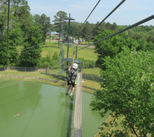 A person zip-lining through a forested area, with trees and power lines in the background.