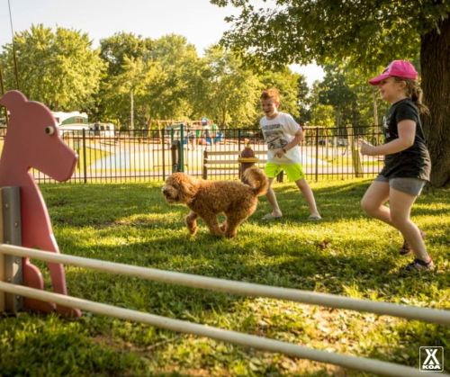 Two children play with a dog in a grassy area, with a pink wooden bear in the background.