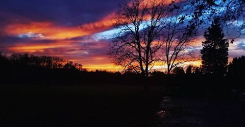 A vibrant sunset with purple, orange, and blue hues, silhouetted by trees against a darkening sky.