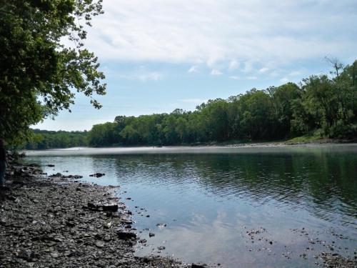 A serene river scene with calm water, surrounded by lush green trees and a clear blue sky.