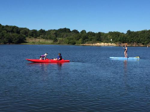 A person in a red kayak paddles with a dog, while another person stands on a blue paddleboard in a calm lake.