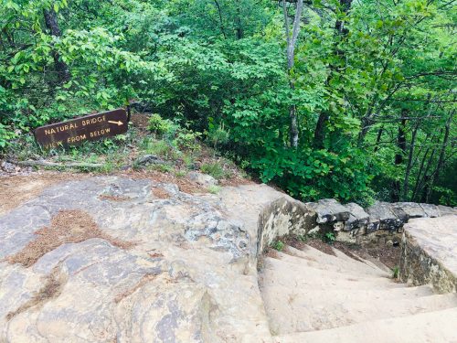 A stone staircase leads down through lush greenery, with a sign reading "Natural Bridge View from Below."