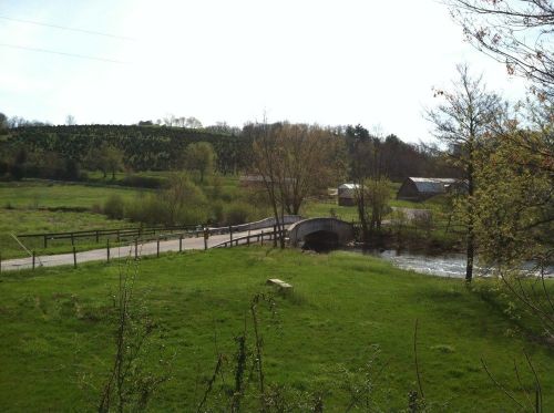 A serene landscape featuring a small bridge over a river, surrounded by green fields and trees under a clear sky.