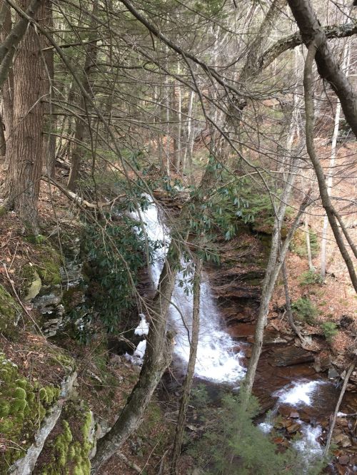 A serene waterfall cascades through a forest, surrounded by trees and moss-covered rocks.