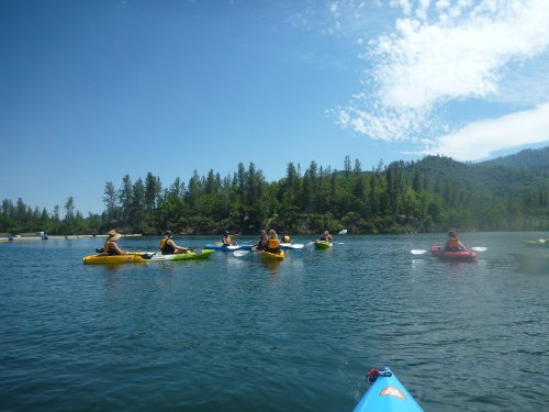 A group of kayakers paddles on a calm lake surrounded by trees and mountains under a clear blue sky.