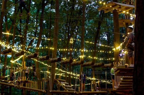 A treetop adventure park with illuminated pathways and people navigating obstacle courses among trees at dusk.