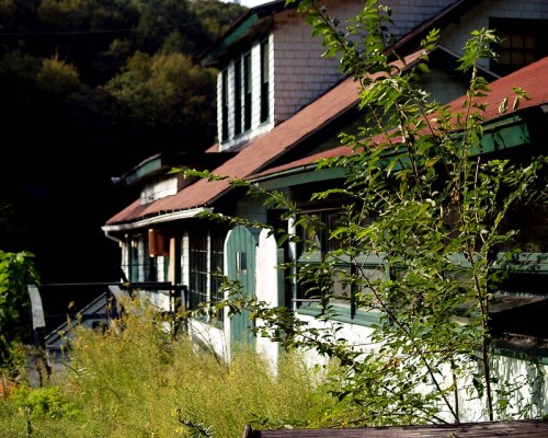 A weathered building with green trim, surrounded by overgrown plants and trees, under a clear blue sky.