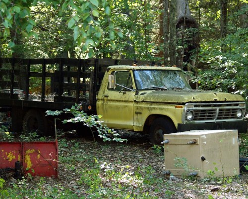 An old, rusty yellow truck parked in a wooded area, surrounded by greenery and discarded items.