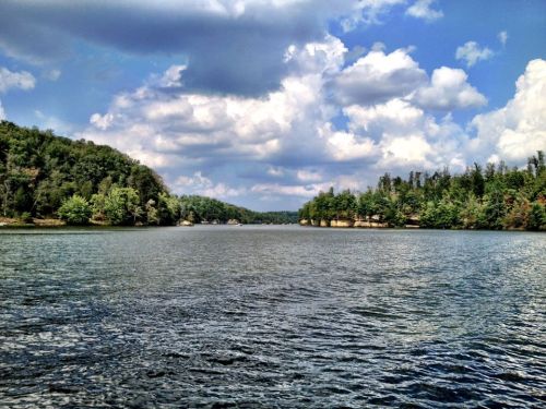 A serene lake surrounded by lush green trees and a blue sky with fluffy clouds.