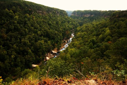 A scenic view of a lush green valley with a winding river surrounded by dense trees and rocky outcrops.