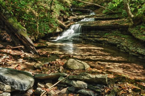A serene forest scene featuring a small waterfall cascading over rocks into a calm pool, surrounded by lush greenery.