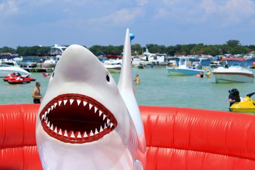 A large inflatable shark with an open mouth sits in front of a busy marina filled with boats and jet skis.