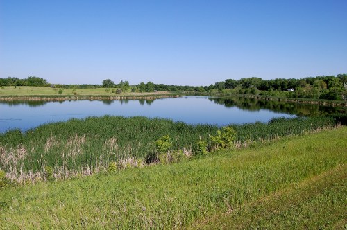 A serene lake surrounded by lush greenery and tall grasses under a clear blue sky.