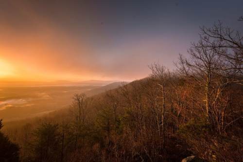 A scenic view of a misty valley at sunrise, with bare trees and soft orange and blue hues in the sky.