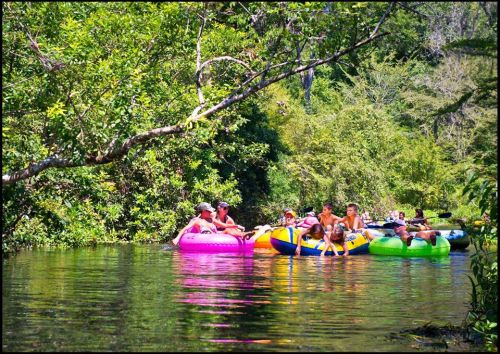 A group of people in colorful inner tubes floating on a calm river surrounded by lush greenery.