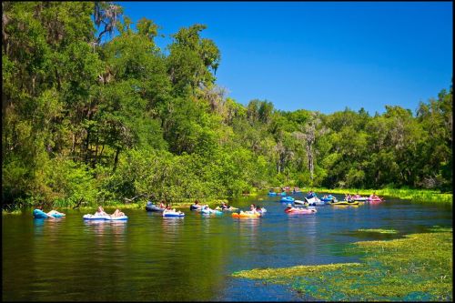 People floating on colorful inner tubes in a serene river surrounded by lush greenery and clear blue skies.