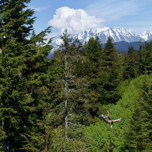 A person zip-lining through a lush forest with snow-capped mountains in the background under a blue sky.