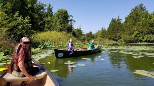 Two people in canoes paddle through a serene, lily-covered lake surrounded by lush greenery on a sunny day.
