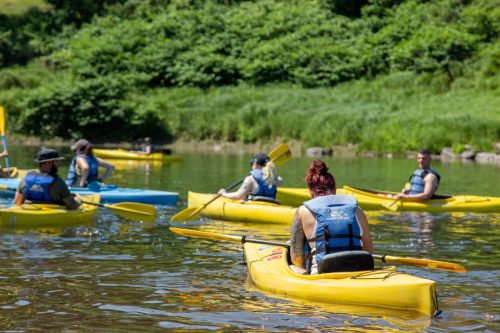 A group of people kayaking on a calm river, surrounded by lush greenery on a sunny day.