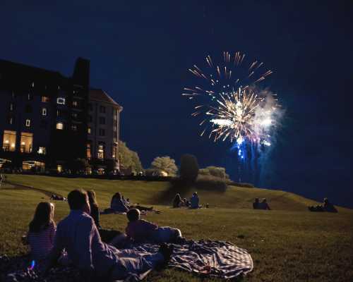 A group of people relax on a grassy hill, watching colorful fireworks illuminate the night sky.