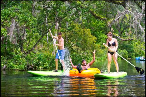 Three people enjoy a sunny day on a river, paddling on kayaks and splashing water around them.