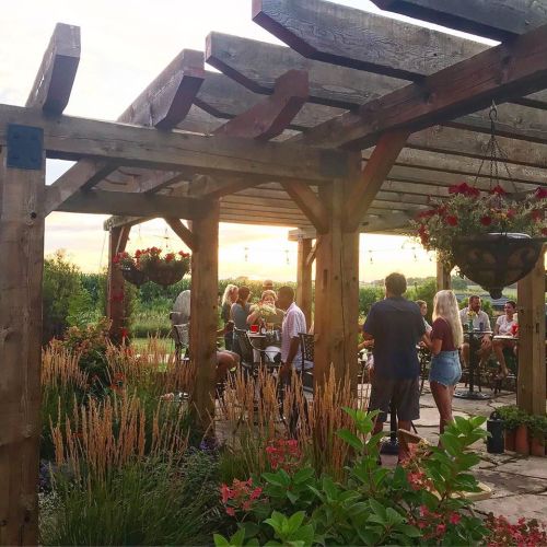 A lively outdoor gathering under a wooden pergola at sunset, surrounded by greenery and flowers.