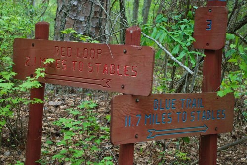 Two wooden trail signs in a forest: one for the Red Loop (2 miles to stables) and one for the Blue Trail (11.7 miles to stables).