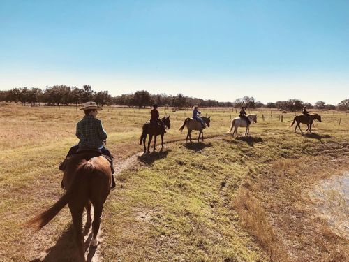 A group of riders on horseback traverses a grassy landscape under a clear blue sky.