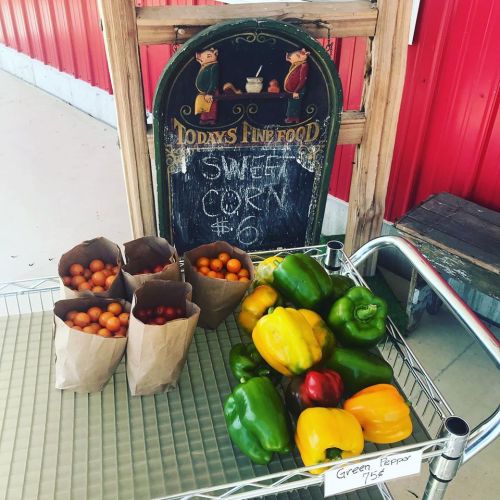 A display of fresh produce featuring bags of cherry tomatoes, green peppers, and a sign for sweet corn priced at $6.