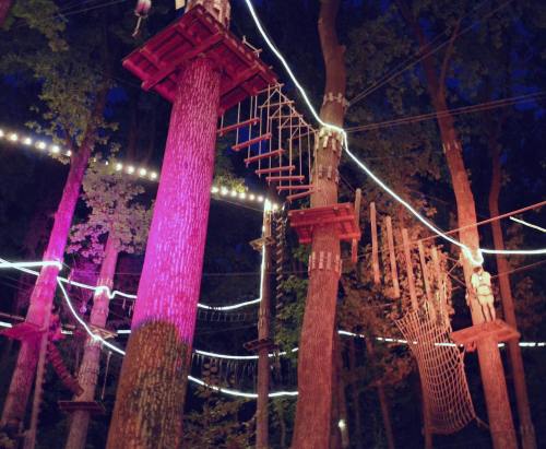 A nighttime view of a treetop adventure park with illuminated ropes and platforms among trees.