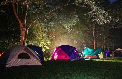 A campsite at night with colorful tents set up among trees, illuminated by soft light.