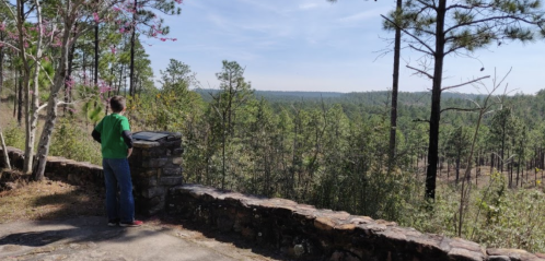 A person in a green shirt stands by a stone wall, gazing at a scenic view of trees and hills under a clear sky.