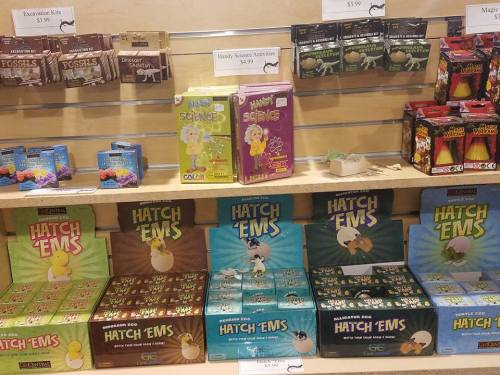 A display of science kits and toys, including Hatch Ems and excavation kits, on a wooden shelf.