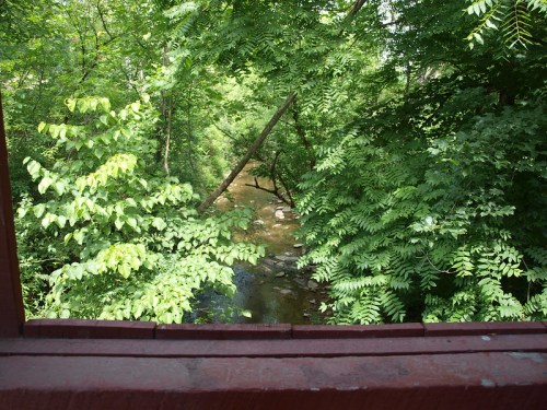 A view of a serene creek surrounded by lush green trees and foliage, seen from a wooden structure.