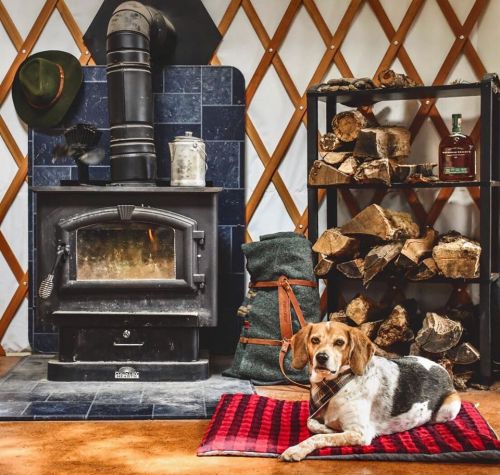 A cozy yurt interior with a wood stove, a beagle on a red plaid blanket, and a stack of firewood nearby.
