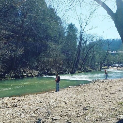 Two fishermen stand by a riverbank, casting lines into the water surrounded by trees and a clear blue sky.