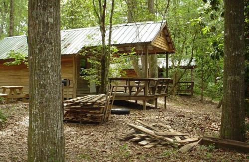 A rustic cabin surrounded by trees, with a wooden deck and stacked firewood in a serene forest setting.