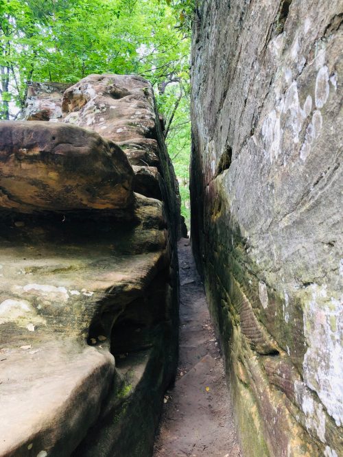 Narrow pathway between tall rock formations, surrounded by greenery and trees above.