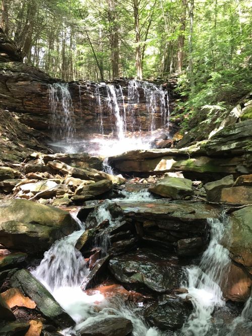 A serene waterfall cascades over rocks, surrounded by lush green trees in a tranquil forest setting.