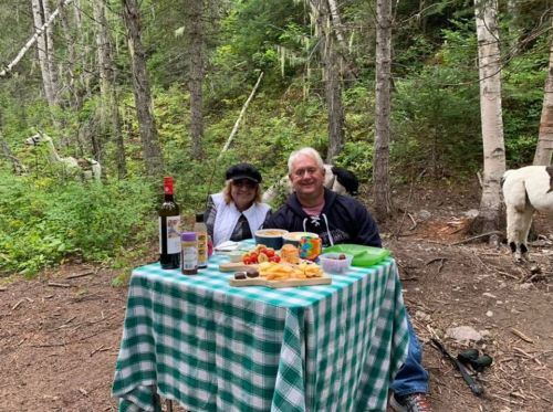 A couple sits at a picnic table in a forest, surrounded by food and drinks, with a llama in the background.